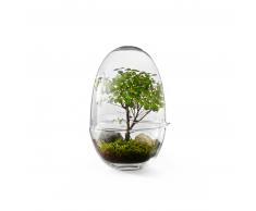 Design House Stockholm Grow Gewächshaus - klar - Höhe 32 cm - Ø 20 cm