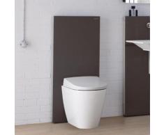 Geberit Monolith Plus Sanitärmodul für Stand-WC H: 114 cm Glas umbra 131233SQ5, EEK: A+