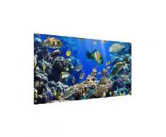 bilderwelten magnettafel quer 37cm x 78cm »underwater reef«