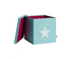 store it! ordnungsbox mit deckel (mdf), mint mit weißem stern