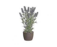 kunstpflanze »lavendel«, im keramiktopf, höhe 37 cm, lila