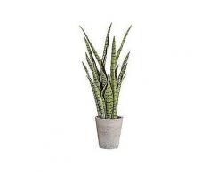 kunstpflanze »sanseveria«, im zementtopf, höhe 85 cm