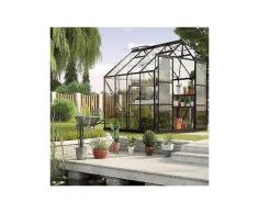 vitavia gewächshaus set »uranus 6700«, bxtxh: 254x254x246 cm, schwarz, 4 mm, mit 2-tlg. zubehör