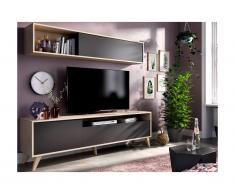 TV-Möbel TV-Wand mit Stauraum - Anthrazit & Eichefarben - ALBORA