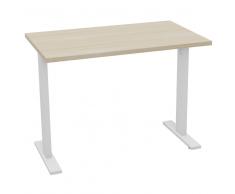 TREND PUR Schreibtisch mit T-Fuß-Gestell, rechteckig, 100x60cm