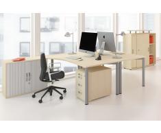 GERAMÖBEL Büromöbel Set, Doppelarbeitsplatz, 450x260cm