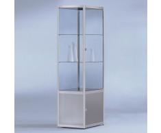 INSIDE Standvitrine mit Flügeltür und Unterschrank b40xt40xh182cm