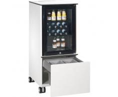 C+P Kühlschrank-Caddy mit Abfallsammler, b50xt60xh115cm
