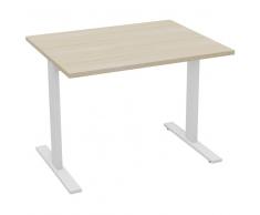 TREND PUR Schreibtisch mit T-Fuß-Gestell, rechteckig, 100x80cm