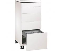 C+P Caddiy mit Abfallsammler, b50xt60xh115cm