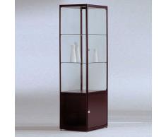 INSIDE Standvitrine mit Flügeltür und Unterschrank b50xt50xh182cm