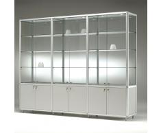 BETA-M Standvitrinen mit Flügeltür und Unterschrank, b231xt42,5xh184,5cm