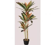 Dekorative Kunstpflanze Dracaena Design PVC - ↑130 cm ↑130 cm - Sklum