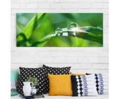 Glasbild - Green Ambiance II - Panorama Quer Größe HxB: 50cm x 125cm