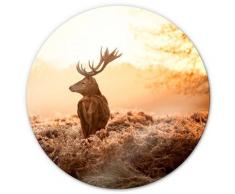 K&l Wall Art - Glas Wandbild Rund Glasbild bedruckt Wald Majestätischer Hirsch Waldtiere Ø 30cm
