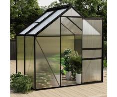 Longziming - Gewächshaus Anthrazit Aluminium 2,47 m²