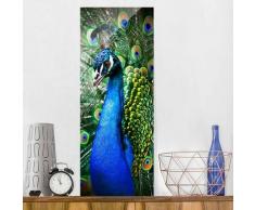 Bilderwelten - Glasbild - Edler Pfau - Panorama Hoch Größe HxB: 80cm x 30cm