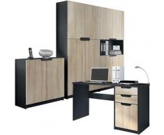 Vladon - Büromöbel Logan, Arbeitszimmer Komplett-Set mit Schreibtisch, Kommode und 2 Schränken,