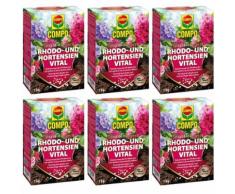 6 x 1kg Compo Rhodo- und Hortensien Vital Moorbeetpflanzen NPK-Dünger