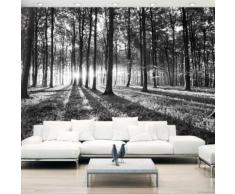 350x245 cm Fototapete Grey Wilderness