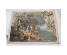 Alte Schulwandtafel Lehrtafel Feigenbaum Ölbaum Lorbeerbaum Wachsmuth Leipzig