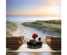 250x175 cm Fototapete Spaziergang am Strand