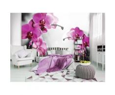 Fototapete - Rosa Orchidee - Vlies - Laminiert - 10155_Mlven