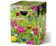 Remember Papphocker Blumenwiese