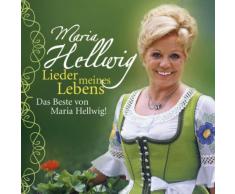 Der Alte Bauernschrank