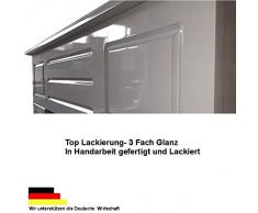 Ethanol und Gelkamin Kamin Modell Dion XXL Weiss Hochglanz - inkl. 27 teil. Set