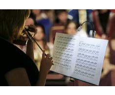 Wedo 2541001 - Mobile Leselampe mit LED Beleuchtung und Clip schwarz