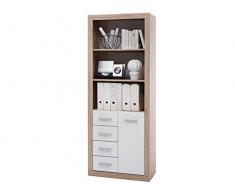 möbelando Aktenschrank Beistellschrank Büroschrank Schrank Standschrank Büro Lisetta II