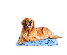Lucarres Gel-Matratze, selbstkühlend, für Hunde und Katzen, im heißen Sommer, wasserdicht und kratzfest, ideal für zu Hause oder im Auto