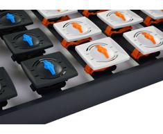 DaMi 5 Zonen Buche Lattenrost Tellerrost Tellerrahmen 100x200 cm Dream