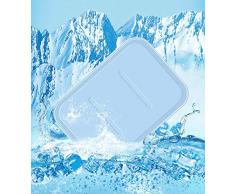 Chunhe Eiskissen Gel-Matratze Sommer Kühlung Eis Student Sommer Bett Büro Kühlkissen Haustier Ice Pad