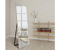 Mir*dfgh Simple Dressing Mirror Ganzkörperspiegel Bodenspiegel Schlafzimmerspiegel Bekleidungsgeschäft Spiegel 0602 (Color : Silver, Size : 50cm*150cm)