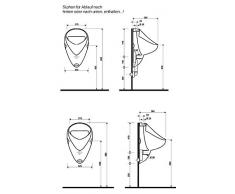 Ceravid (Keramag Gruppe) Urinal Zulauf von oben Ablauf nach unten, hinten inkl. Druckspüler im Set, Beschichtung u. Silikon