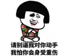 LSDEERE DIY Malen nach Zahlen Kinder für Erwachsene Anfänger Leinen Leinwand Acryl Anzahl Malerei Geschenke Abstrakte Kunst Tier Tiger Löwe Leopard 40x50cm（GTR-5560