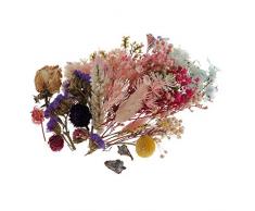 Hellery Verschiedene Reale Presse Getrocknete Blumen Blätter Für DIY Epoxidharz Schmuck Machen