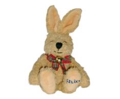 Briefe von Felix - Geschenk-Edition (mit DVD Nr. 6 und Original Felix-Kuschelhasen)