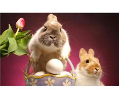 NoNo Malen nach Zahlen DIY Ölgemälde für Kinder Erwachsene Anfänger Osterhase