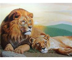 Wangchengo Malen nach Zahlen DIY Ölgemälde für Kinder Erwachsene Anfänger Kuschellöwe Leinwanddruck Wandkunst Dekoration 16x20 Zoll(Ohne Rahmen)