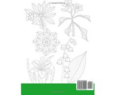 Malbuch Erwachsene: Malen und entspannen: Blumen ausmalen, Blumen-Malbuch für Erwachsene, Ausmalbücher für erwachsene, 50 Ausmalbilder zum Entspannen, meditation malbuch, Mandalas, Malbuch blumen