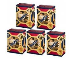 Kapla Holzbaukasten 5 x 200 Steine (1000 Stück)