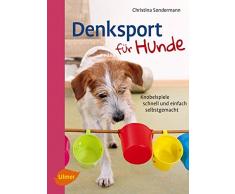 Denksport für Hunde: Knobelspiele schnell und einfach selbstgemacht