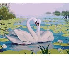 YANGSHUANG DIY Leinwand Ölgemälde Kuschelschwan Handgemalt Ölgemälde auf Leinwand Geschenk Malen Nach Zahlen Kits Home Haus Dekor 40 x 50 cm（Ohne Rahmen）