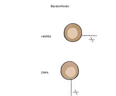 Mein kunterbuntes Ausschneidebuch - Tiere. Ausschneiden, ausmalen, kleben. Ab 3 Jahren: Mit Scherenführerschein