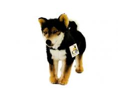 Teddys Rothenburg Kösen, Shiba-Inu, 28 cm, stehend, schwarz/Weiss/braun, Stoffshiba-Inu, Plüschhund