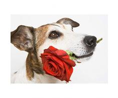 PYuKK 5D-DIY Diamantmalerei Hundekit aus roter Rose Bastelfigur Kristall Strass Stickerei Kreuzstich Handwerk Heimdekoration Kit Geschenk Quadrat Diamant Rahmenlos -40x50cm