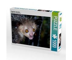 CALVENDO Puzzle Fingertier (Aye-Aye) 1000 Teile Lege-Größe 64 x 48 cm Foto-Puzzle Bild von Uwe Kribus